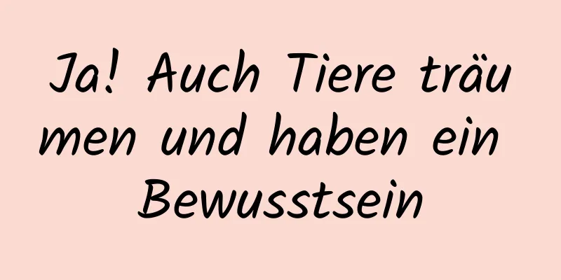 Ja! Auch Tiere träumen und haben ein Bewusstsein