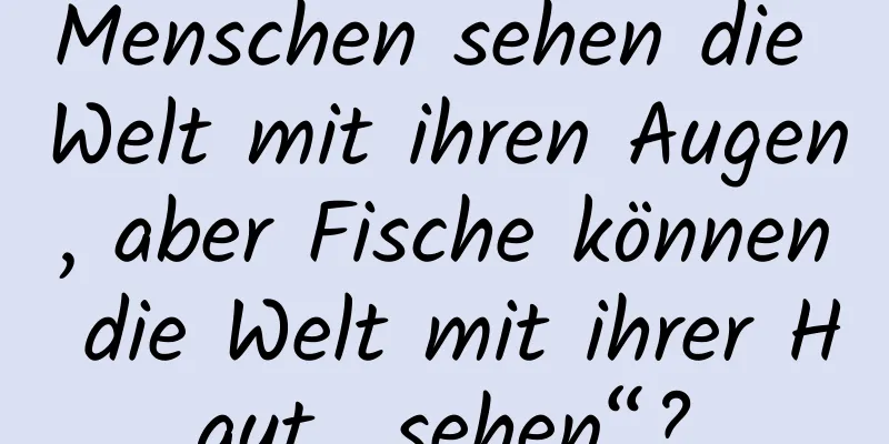 Menschen sehen die Welt mit ihren Augen, aber Fische können die Welt mit ihrer Haut „sehen“?