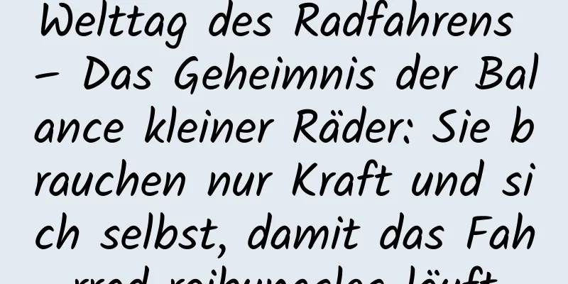Welttag des Radfahrens – Das Geheimnis der Balance kleiner Räder: Sie brauchen nur Kraft und sich selbst, damit das Fahrrad reibungslos läuft