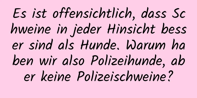 Es ist offensichtlich, dass Schweine in jeder Hinsicht besser sind als Hunde. Warum haben wir also Polizeihunde, aber keine Polizeischweine?