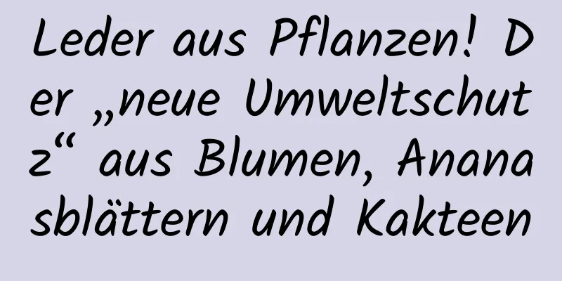 Leder aus Pflanzen! Der „neue Umweltschutz“ aus Blumen, Ananasblättern und Kakteen