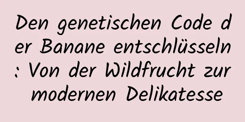 Den genetischen Code der Banane entschlüsseln: Von der Wildfrucht zur modernen Delikatesse