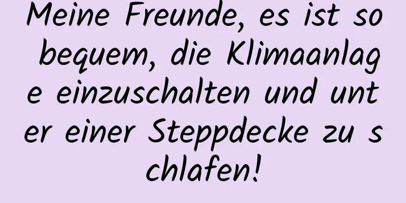 Meine Freunde, es ist so bequem, die Klimaanlage einzuschalten und unter einer Steppdecke zu schlafen!