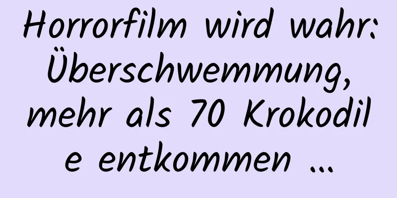 Horrorfilm wird wahr: Überschwemmung, mehr als 70 Krokodile entkommen …