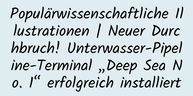 Populärwissenschaftliche Illustrationen | Neuer Durchbruch! Unterwasser-Pipeline-Terminal „Deep Sea No. 1“ erfolgreich installiert