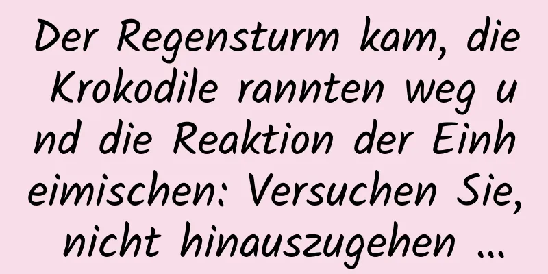 Der Regensturm kam, die Krokodile rannten weg und die Reaktion der Einheimischen: Versuchen Sie, nicht hinauszugehen …
