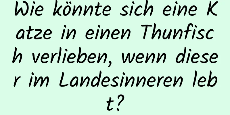 Wie könnte sich eine Katze in einen Thunfisch verlieben, wenn dieser im Landesinneren lebt?