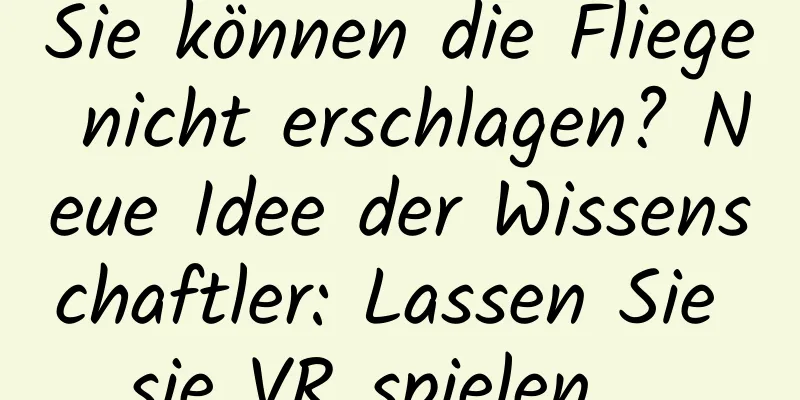 Sie können die Fliege nicht erschlagen? Neue Idee der Wissenschaftler: Lassen Sie sie VR spielen …