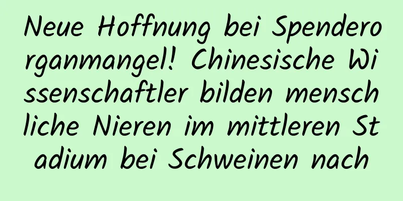 Neue Hoffnung bei Spenderorganmangel! Chinesische Wissenschaftler bilden menschliche Nieren im mittleren Stadium bei Schweinen nach