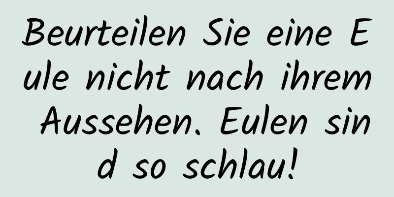 Beurteilen Sie eine Eule nicht nach ihrem Aussehen. Eulen sind so schlau!