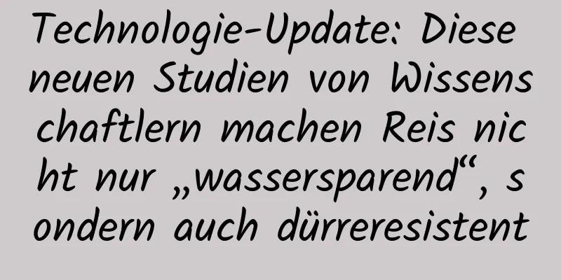 Technologie-Update: Diese neuen Studien von Wissenschaftlern machen Reis nicht nur „wassersparend“, sondern auch dürreresistent