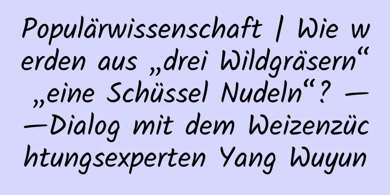 Populärwissenschaft | Wie werden aus „drei Wildgräsern“ „eine Schüssel Nudeln“? ——Dialog mit dem Weizenzüchtungsexperten Yang Wuyun