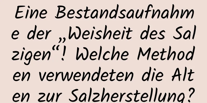 Eine Bestandsaufnahme der „Weisheit des Salzigen“! Welche Methoden verwendeten die Alten zur Salzherstellung?
