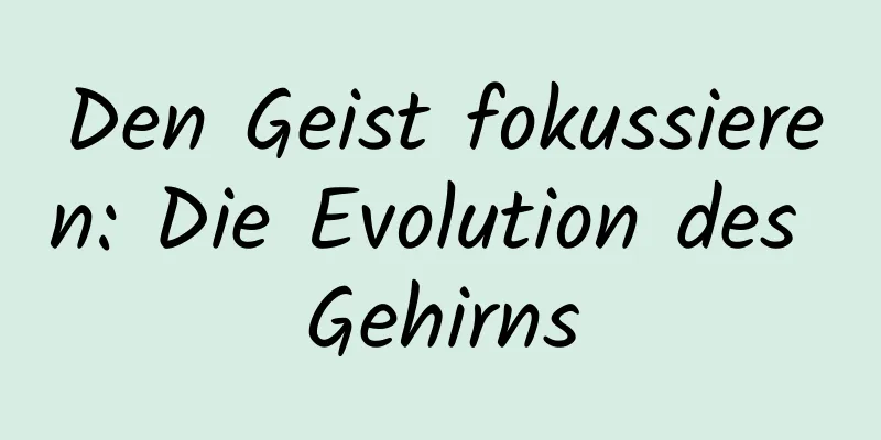 Den Geist fokussieren: Die Evolution des Gehirns