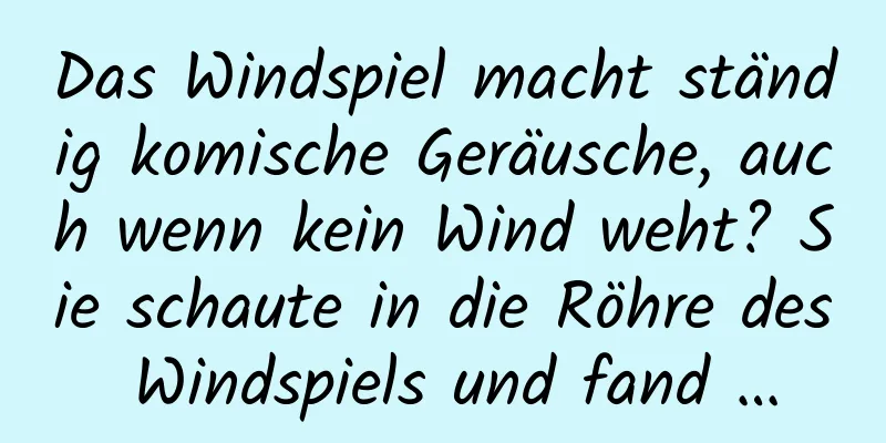 Das Windspiel macht ständig komische Geräusche, auch wenn kein Wind weht? Sie schaute in die Röhre des Windspiels und fand …
