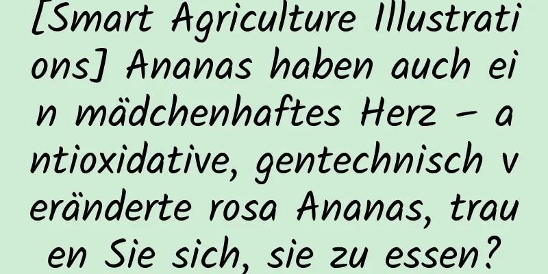 [Smart Agriculture Illustrations] Ananas haben auch ein mädchenhaftes Herz – antioxidative, gentechnisch veränderte rosa Ananas, trauen Sie sich, sie zu essen?