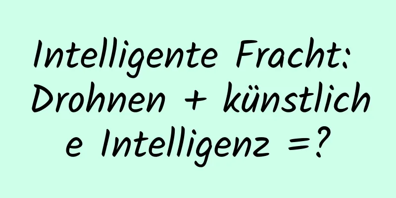 Intelligente Fracht: Drohnen + künstliche Intelligenz =?