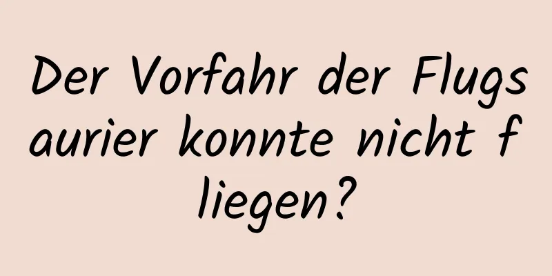 Der Vorfahr der Flugsaurier konnte nicht fliegen?
