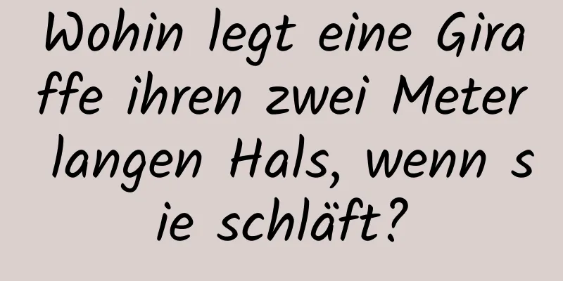 Wohin legt eine Giraffe ihren zwei Meter langen Hals, wenn sie schläft?
