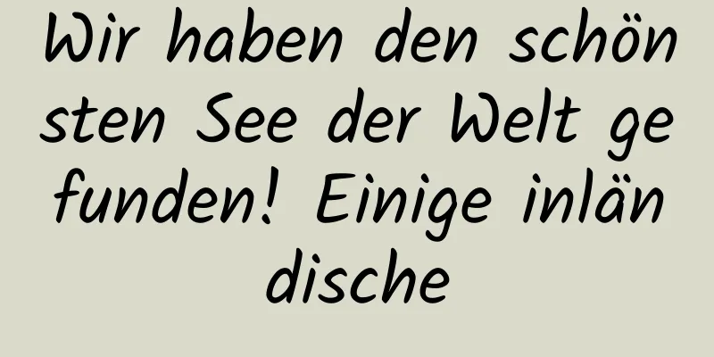 Wir haben den schönsten See der Welt gefunden! Einige inländische