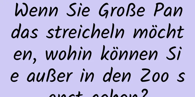 Wenn Sie Große Pandas streicheln möchten, wohin können Sie außer in den Zoo sonst gehen?