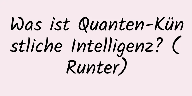 Was ist Quanten-Künstliche Intelligenz? (Runter)