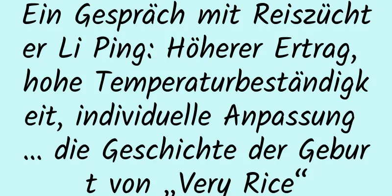 Ein Gespräch mit Reiszüchter Li Ping: Höherer Ertrag, hohe Temperaturbeständigkeit, individuelle Anpassung … die Geschichte der Geburt von „Very Rice“