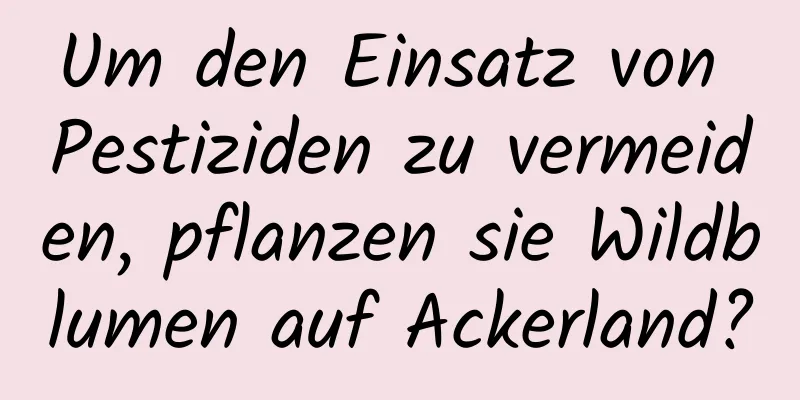 Um den Einsatz von Pestiziden zu vermeiden, pflanzen sie Wildblumen auf Ackerland?