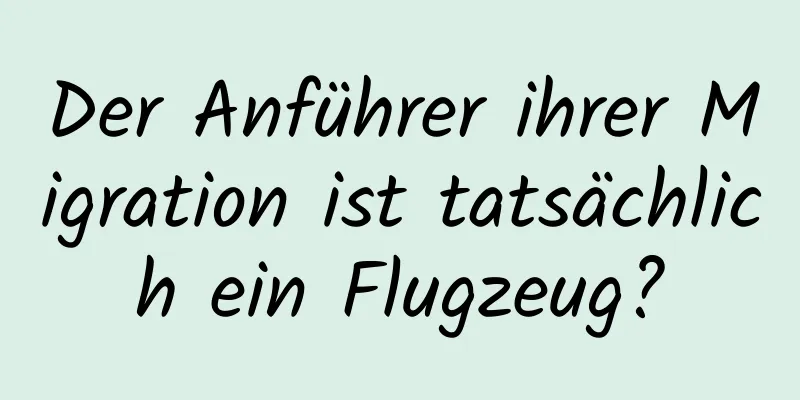 Der Anführer ihrer Migration ist tatsächlich ein Flugzeug?