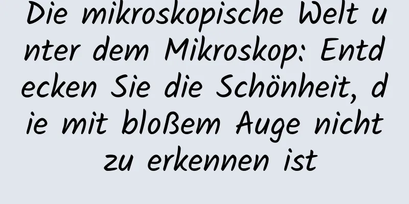 Die mikroskopische Welt unter dem Mikroskop: Entdecken Sie die Schönheit, die mit bloßem Auge nicht zu erkennen ist
