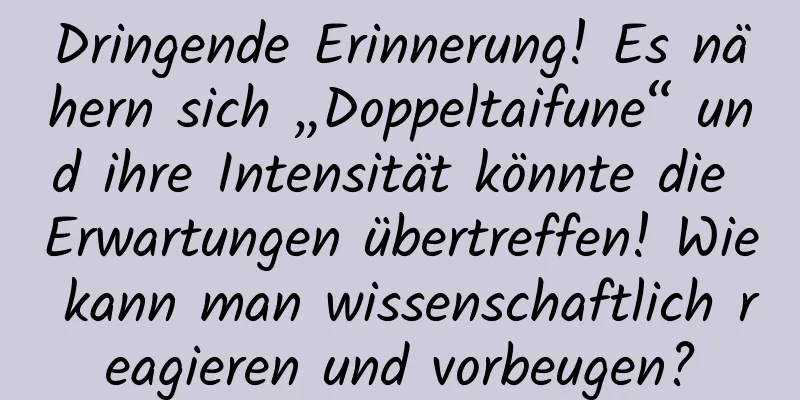 Dringende Erinnerung! Es nähern sich „Doppeltaifune“ und ihre Intensität könnte die Erwartungen übertreffen! Wie kann man wissenschaftlich reagieren und vorbeugen?