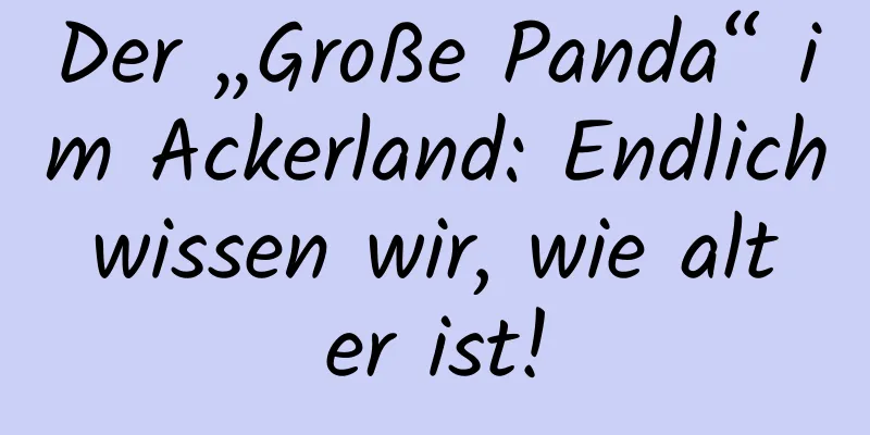 Der „Große Panda“ im Ackerland: Endlich wissen wir, wie alt er ist!