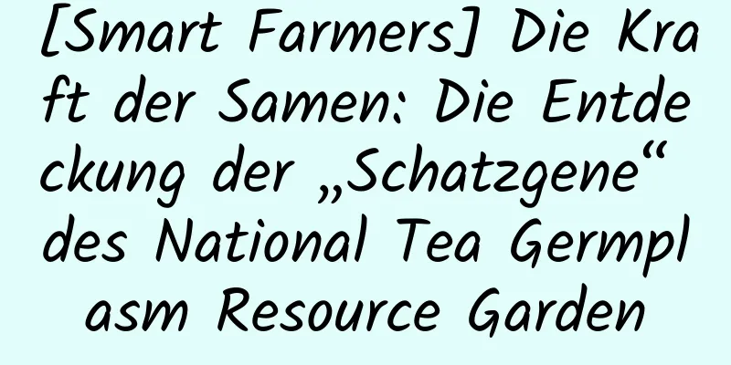 [Smart Farmers] Die Kraft der Samen: Die Entdeckung der „Schatzgene“ des National Tea Germplasm Resource Garden