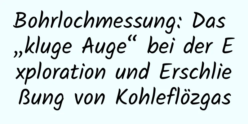 Bohrlochmessung: Das „kluge Auge“ bei der Exploration und Erschließung von Kohleflözgas