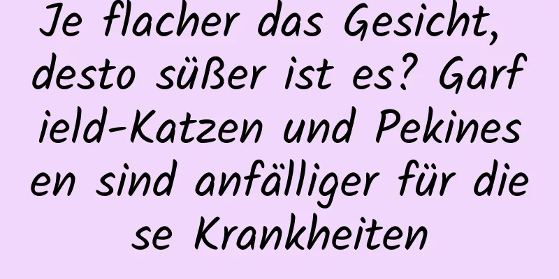 Je flacher das Gesicht, desto süßer ist es? Garfield-Katzen und Pekinesen sind anfälliger für diese Krankheiten
