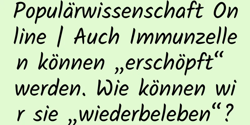 Populärwissenschaft Online | Auch Immunzellen können „erschöpft“ werden. Wie können wir sie „wiederbeleben“?