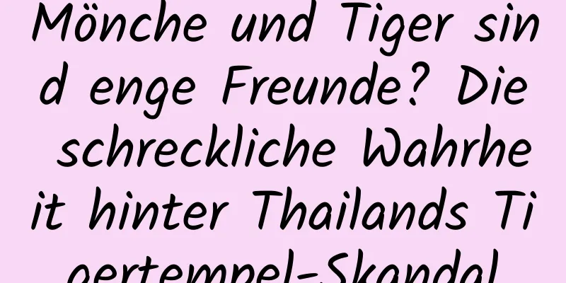 Mönche und Tiger sind enge Freunde? Die schreckliche Wahrheit hinter Thailands Tigertempel-Skandal