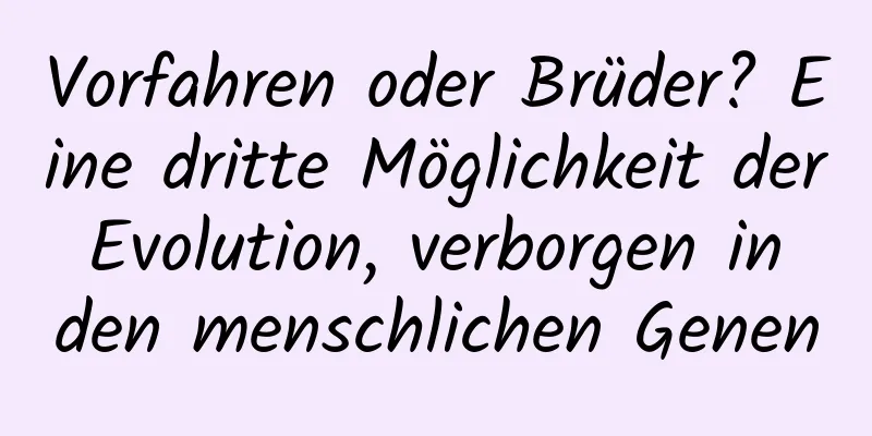 Vorfahren oder Brüder? Eine dritte Möglichkeit der Evolution, verborgen in den menschlichen Genen