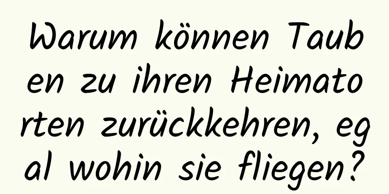 Warum können Tauben zu ihren Heimatorten zurückkehren, egal wohin sie fliegen?