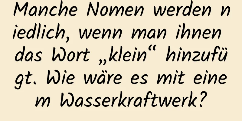 Manche Nomen werden niedlich, wenn man ihnen das Wort „klein“ hinzufügt. Wie wäre es mit einem Wasserkraftwerk?