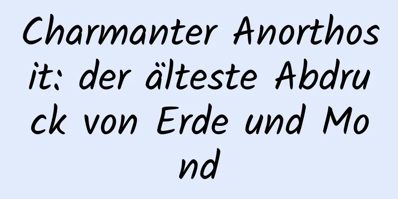 Charmanter Anorthosit: der älteste Abdruck von Erde und Mond