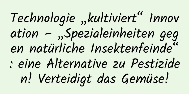 Technologie „kultiviert“ Innovation – „Spezialeinheiten gegen natürliche Insektenfeinde“: eine Alternative zu Pestiziden! Verteidigt das Gemüse!