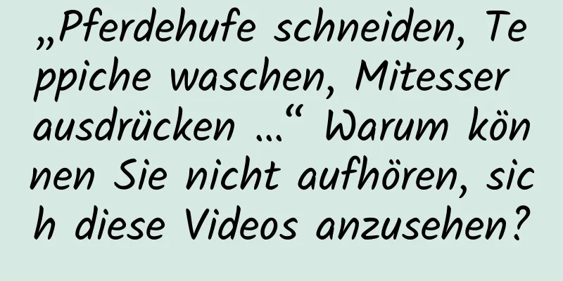 „Pferdehufe schneiden, Teppiche waschen, Mitesser ausdrücken …“ Warum können Sie nicht aufhören, sich diese Videos anzusehen?