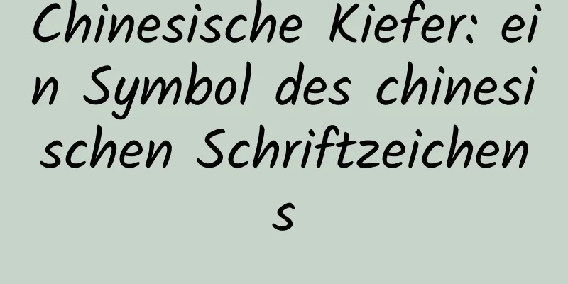 Chinesische Kiefer: ein Symbol des chinesischen Schriftzeichens