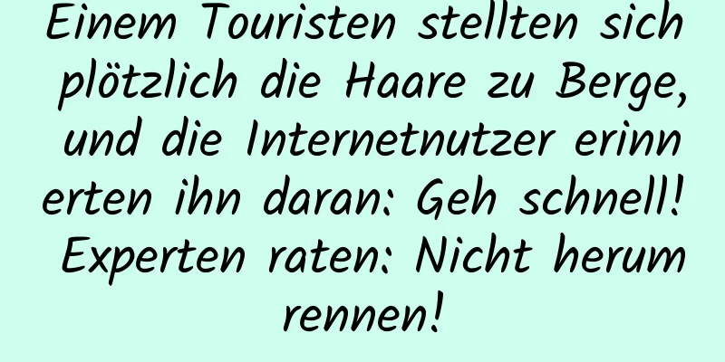 Einem Touristen stellten sich plötzlich die Haare zu Berge, und die Internetnutzer erinnerten ihn daran: Geh schnell! Experten raten: Nicht herumrennen!