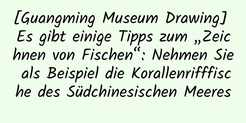 [Guangming Museum Drawing] Es gibt einige Tipps zum „Zeichnen von Fischen“: Nehmen Sie als Beispiel die Korallenrifffische des Südchinesischen Meeres