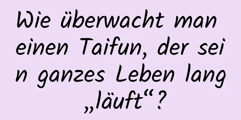 Wie überwacht man einen Taifun, der sein ganzes Leben lang „läuft“?