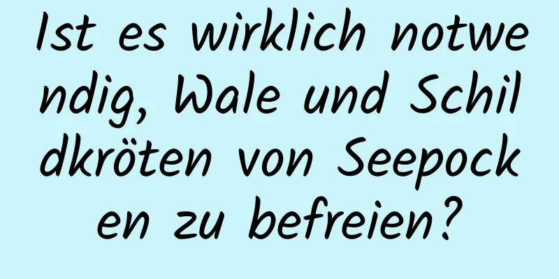 Ist es wirklich notwendig, Wale und Schildkröten von Seepocken zu befreien?
