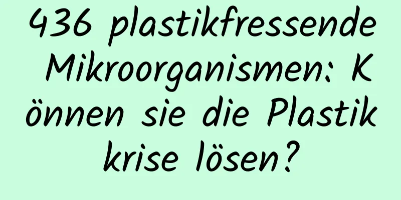 436 plastikfressende Mikroorganismen: Können sie die Plastikkrise lösen?