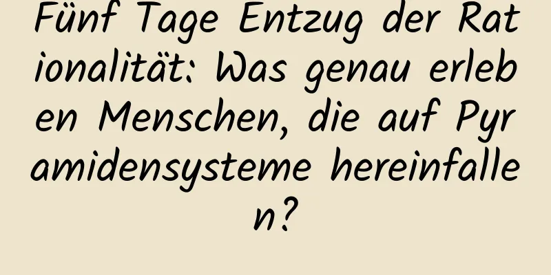 Fünf Tage Entzug der Rationalität: Was genau erleben Menschen, die auf Pyramidensysteme hereinfallen?